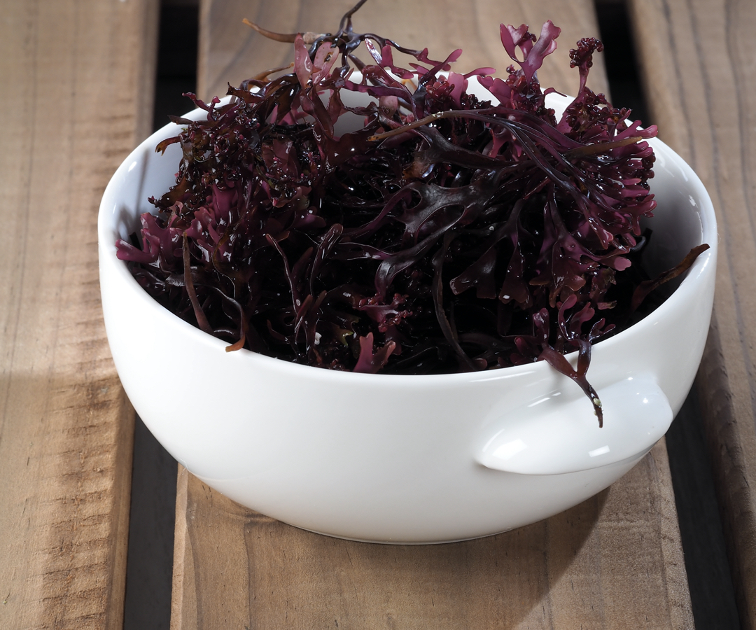 海藻鈣是什麼?海藻鈣功效與碳酸鈣、檸檬酸鈣差別!