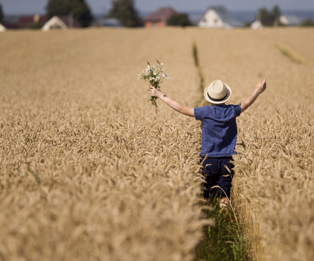 黑麥花粉功效有哪些？從攝護腺到女性泌尿道，熟齡日常保健首選