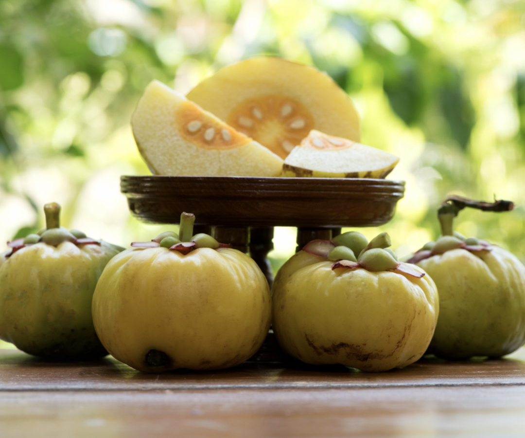 藤黃果功效不只控體重？一篇了解藤黃果怎麼吃、副作用與禁忌